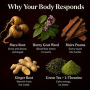 Why your body responds: maca root, horny goat weed, muira puama, ginger root, green tea and L-theanine